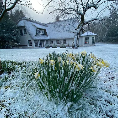 Ostwind Holiday home *